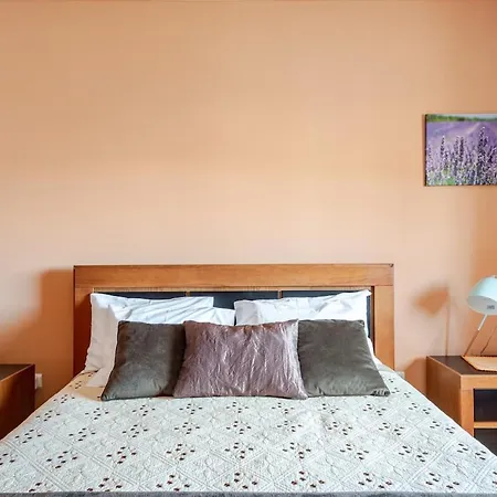 Casa Lavanda - Very Stylish House Сasa de vacaciones Caldas Da Rainha